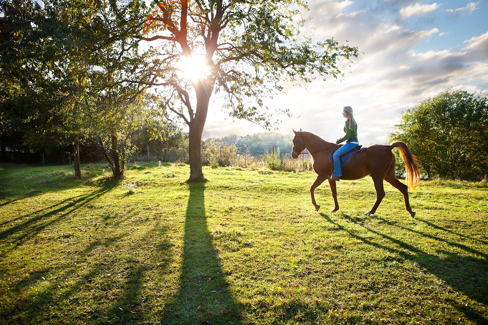 John Sibilski Photography | Chicago horse_sky